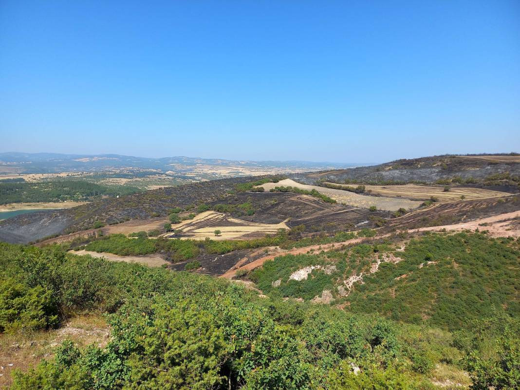 Balıkesir'deki orman yangını kontrol altına alındı - Resim: 9